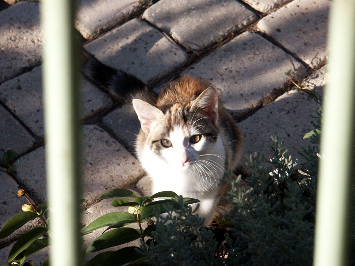 2004-08 122.jpg - DCF 1.0